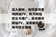 深入解析，如何高效查询网站PV，助力网站优化与推广，高效提升网站PV，深度解析查询与优化策略