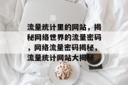 流量统计里的网站，揭秘网络世界的流量密码，网络流量密码揭秘，流量统计网站大揭秘