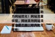 揭秘，哪些网站能帮你轻松查看网站流量，助力网站优化！网站流量侦探，揭秘高效网站流量查看工具，助力优化策略！