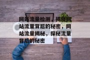 网站流量检测，揭秘网站流量背后的秘密，网站流量揭秘，探秘流量背后的秘密