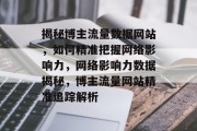 揭秘博主流量数据网站，如何精准把握网络影响力，网络影响力数据揭秘，博主流量网站精准追踪解析