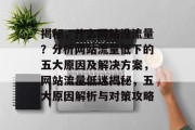 揭秘，什么网站没流量？分析网站流量低下的五大原因及解决方案，网站流量低迷揭秘，五大原因解析与对策攻略