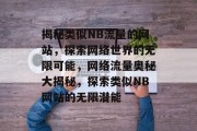 揭秘类似NB流量的网站，探索网络世界的无限可能，网络流量奥秘大揭秘，探索类似NB网站的无限潜能