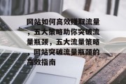 网站如何高效赚取流量，五大策略助你突破流量瓶颈，五大流量策略，网站突破流量瓶颈的高效指南