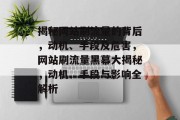 揭秘网站刷流量的背后，动机、手段及危害，网站刷流量黑幕大揭秘，动机、手段与影响全解析
