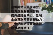 盐城网站流量代运营，助力企业互联网营销，提升品牌影响力，盐城企业互联网营销新动力，专业网站流量代运营助力品牌腾飞