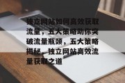 独立网站如何高效获取流量，五大策略助你突破流量瓶颈，五大策略揭秘，独立网站高效流量获取之道