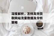 深度解析，怎样高效获取网站流量数据及分析策略