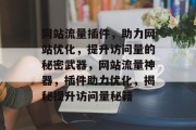 网站流量插件，助力网站优化，提升访问量的秘密武器，网站流量神器，插件助力优化，揭秘提升访问量秘籍