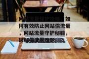 网站流量保护攻略，如何有效防止网站偷流量，网站流量守护秘籍，破解偷流量难题