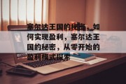 塞尔达王国的秘密,如何实现盈利,塞尔达王国的秘密,从零开始的盈利模式探索 塞尔达王国的秘密,如何实现盈利,塞尔达王国的秘密,从零开始的盈利模式探索