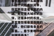 春节期间做什么最赚钱?这个问题看似简单,但实则包含着丰富的内涵。无论是大城市的白领,还是乡村的农民,甚至是在家享受假期的市民,他们都有各自的答案。,春节里哪种职业赚钱最多? 春节期间做什么最赚钱?这个问题看似简单,但实则包含着丰富的内涵。无论是大城市的白领,还是乡村的农民,甚至是在家享受假期的市民,他们都有各自的答案。,春节里哪种职业赚钱最多?