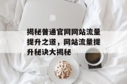 揭秘普通官网网站流量提升之道，网站流量提升秘诀大揭秘