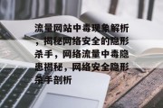 流量网站中毒现象解析，揭秘网络安全的隐形杀手，网络流量中毒隐患揭秘，网络安全隐形杀手剖析