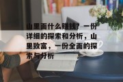 山里面什么赚钱？一份详细的探索和分析，山里致富，一份全面的探索与分析