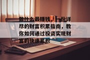 做什么最赚钱,一份详尽的财富积累指南,教你如何通过投资实现财富的快速累积