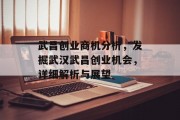 武昌创业商机分析，发掘武汉武昌创业机会，详细解析与展望