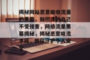 揭秘网站恶意吸收流量的黑幕，如何保护自己不受侵害，网络流量黑幕揭秘，揭秘恶意吸流手段，教你守护个人安全