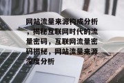 网站流量来源构成分析，揭秘互联网时代的流量密码，互联网流量密码揭秘，网站流量来源深度分析