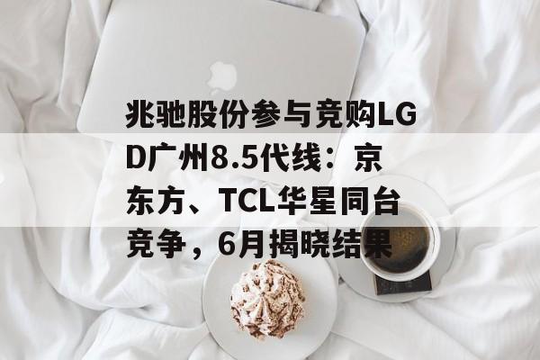 兆驰股份参与竞购LGD广州8.5代线：京东方、TCL华星同台竞争，6月揭晓结果