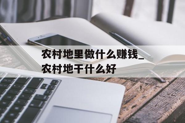 农村地里做什么赚钱_农村地干什么好