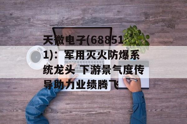 天微电子(688511)：军用灭火防爆系统龙头 下游景气度传导助力业绩腾飞