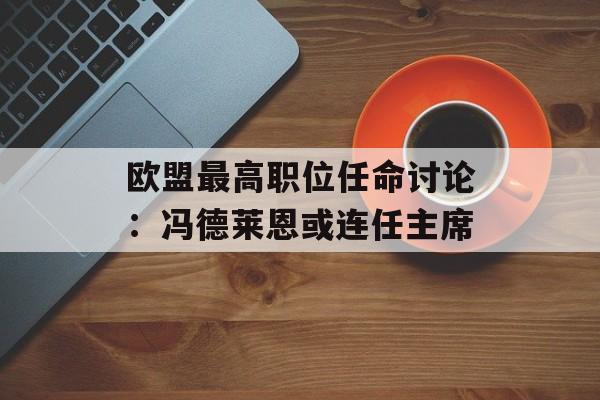 欧盟最高职位任命讨论:冯德莱恩或连任主席 欧盟最高职位任命讨论:冯德莱恩或连任主席
