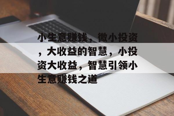 小生意赚钱，微小投资，大收益的智慧，小投资大收益，智慧引领小生意赚钱之道