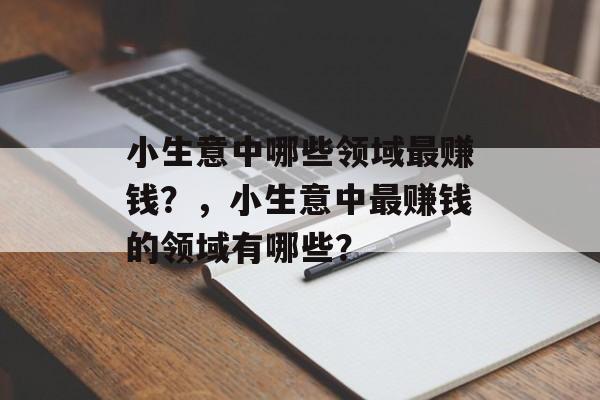 小生意中哪些领域最赚钱？，小生意中最赚钱的领域有哪些？