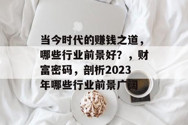 当今时代的赚钱之道，哪些行业前景好？，财富密码，剖析2023年哪些行业前景广阔