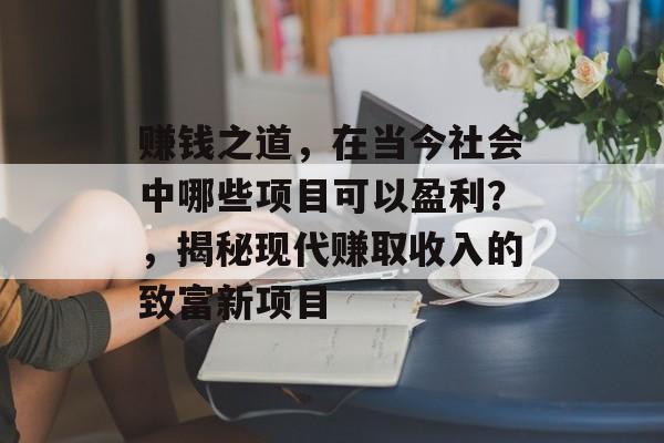 赚钱之道，在当今社会中哪些项目可以盈利？，揭秘现代赚取收入的致富新项目