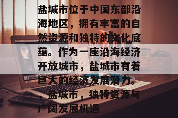 盐城市位于中国东部沿海地区，拥有丰富的自然资源和独特的文化底蕴。作为一座沿海经济开放城市，盐城市有着巨大的经济发展潜力。，盐城市，独特资源与广阔发展机遇