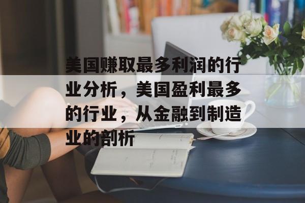 美国赚取最多利润的行业分析，美国盈利最多的行业，从金融到制造业的剖析