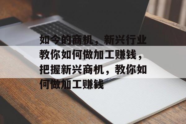 如今的商机,新兴行业教你如何做加工赚钱,把握新兴商机,教你如何做加工赚钱 如今的商机,新兴行业教你如何做加工赚钱,把握新兴商机,教你如何做加工赚钱