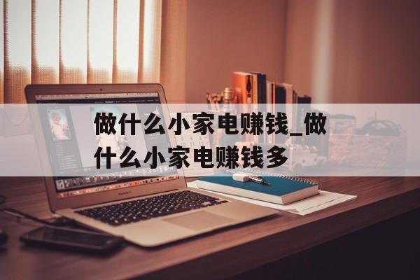 做什么小家电赚钱_做什么小家电赚钱多