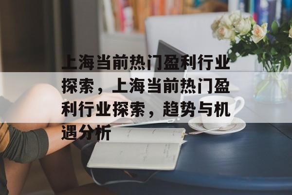 上海当前热门盈利行业探索,上海当前热门盈利行业探索,趋势与机遇分析 上海当前热门盈利行业探索,上海当前热门盈利行业探索,趋势与机遇分析