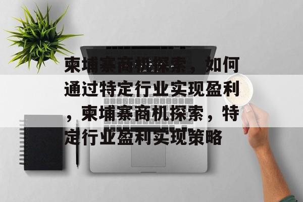 柬埔寨商机探索，如何通过特定行业实现盈利，柬埔寨商机探索，特定行业盈利实现策略