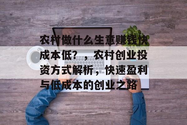 农村做什么生意赚钱快成本低?,农村创业投资方式解析,快速盈利与低成本的创业之路 农村做什么生意赚钱快成本低?,农村创业投资方式解析,快速盈利与低成本的创业之路