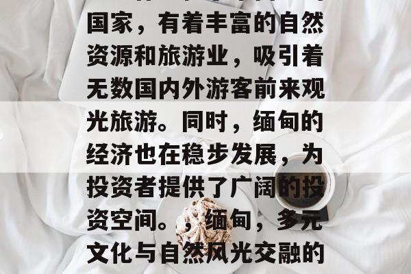 缅甸作为位于东南亚的国家，有着丰富的自然资源和旅游业，吸引着无数国内外游客前来观光旅游。同时，缅甸的经济也在稳步发展，为投资者提供了广阔的投资空间。，缅甸，多元文化与自然风光交融的魅力之地