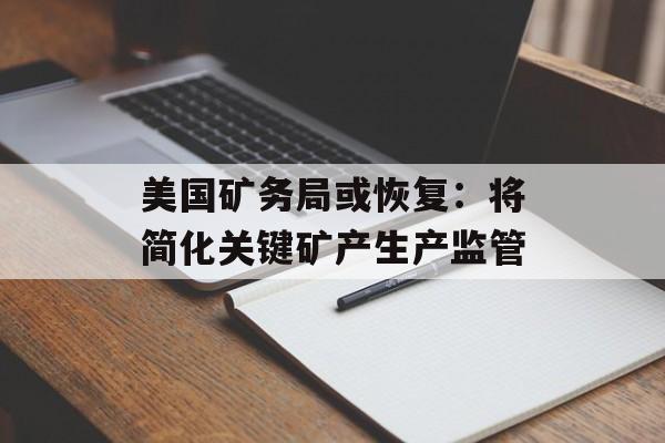 美国矿务局或恢复:将简化关键矿产生产监管 美国矿务局或恢复:将简化关键矿产生产监管