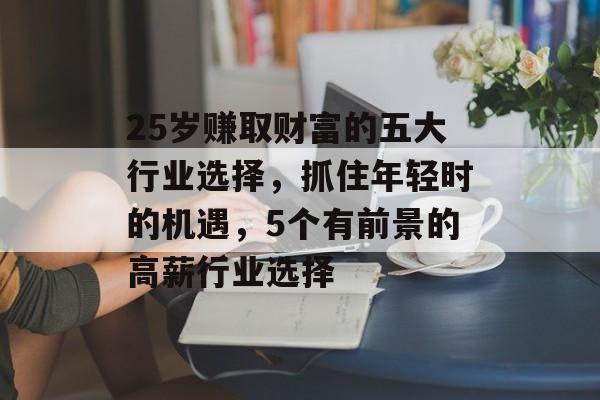 25岁赚取财富的五大行业选择，抓住年轻时的机遇，5个有前景的高薪行业选择