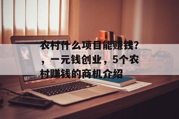农村什么项目能赚钱?,一元钱创业,5个农村赚钱的商机介绍 农村什么项目能赚钱?,一元钱创业,5个农村赚钱的商机介绍