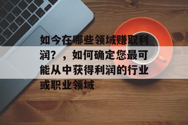 如今在哪些领域赚取利润？，如何确定您最可能从中获得利润的行业或职业领域