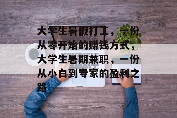 大学生暑假打工，一份从零开始的赚钱方式，大学生暑期兼职，一份从小白到专家的盈利之路