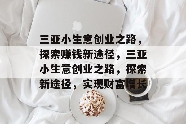 三亚小生意创业之路，探索赚钱新途径，三亚小生意创业之路，探索新途径，实现财富增长