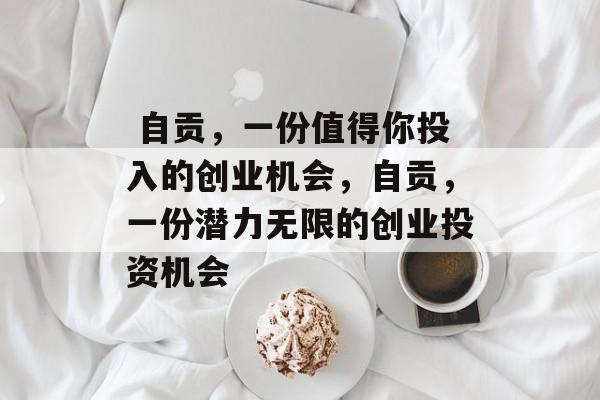  自贡，一份值得你投入的创业机会，自贡，一份潜力无限的创业投资机会