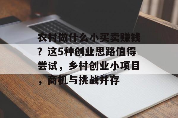 农村做什么小买卖赚钱?这5种创业思路值得尝试,乡村创业小项目,商机与挑战并存 农村做什么小买卖赚钱?这5种创业思路值得尝试,乡村创业小项目,商机与挑战并存
