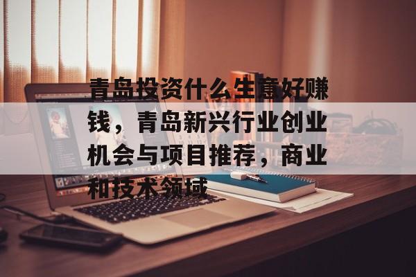 青岛投资什么生意好赚钱，青岛新兴行业创业机会与项目推荐，商业和技术领域