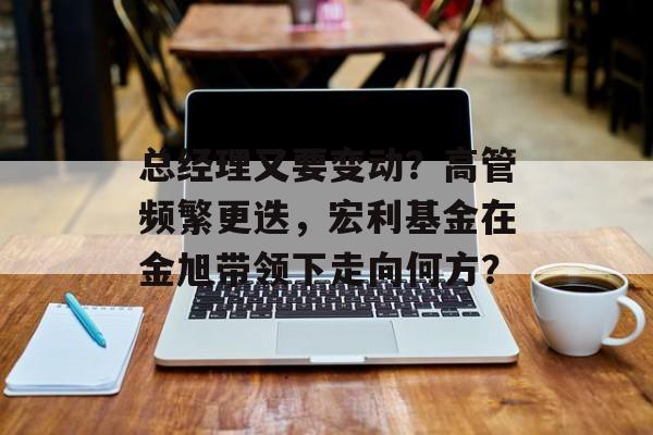 总经理又要变动?高管频繁更迭,宏利基金在金旭带领下走向何方? 总经理又要变动?高管频繁更迭,宏利基金在金旭带领下走向何方?