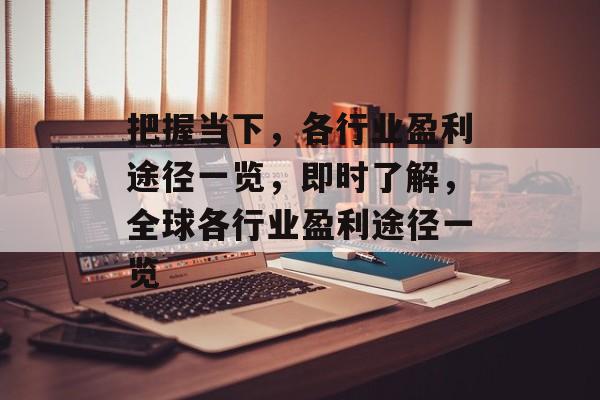 把握当下，各行业盈利途径一览，即时了解，全球各行业盈利途径一览